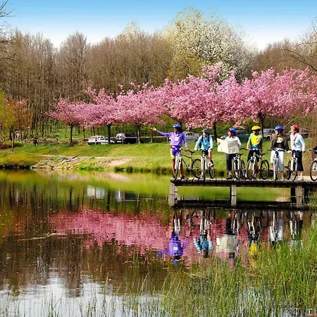 Holiday Les Vosges Du Nord Els05042 Tya